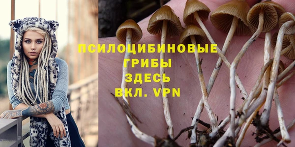 мдпв Баксан