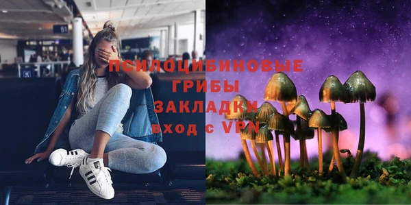 ешки Балахна