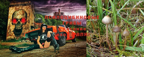 мдпв Баксан
